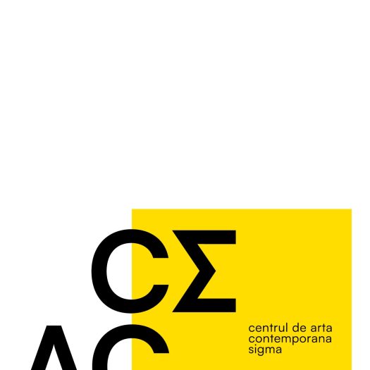 DG2025_Vicol_Denys_P1-0001