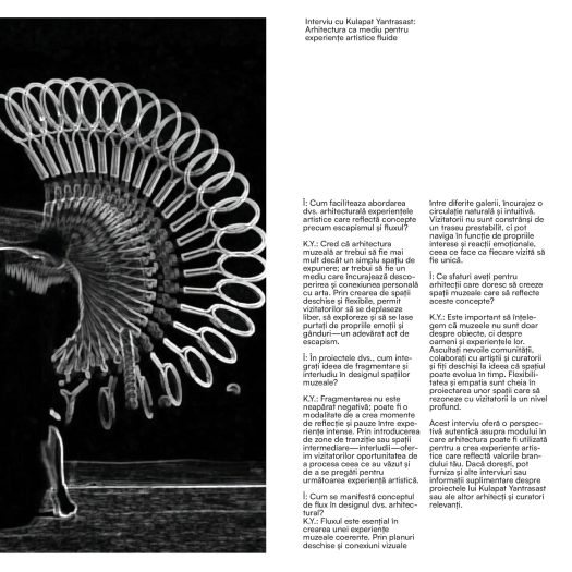 DG2025_Vicol_Denys_P1-0003