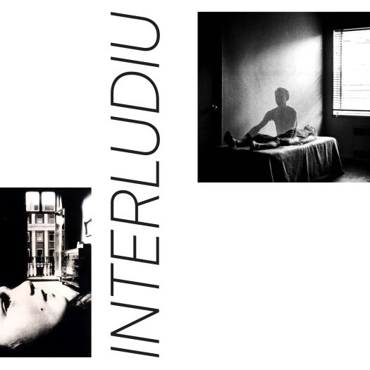 DG2025_Vicol_Denys_P1-0008