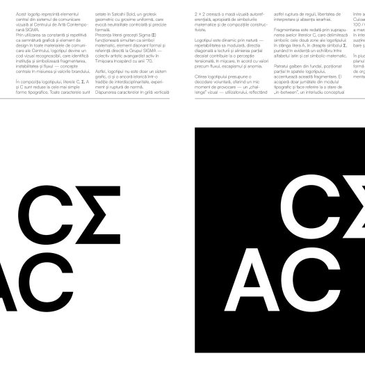 DG2025_Vicol_Denys_P1-0009