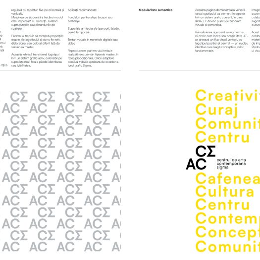 DG2025_Vicol_Denys_P1-0016