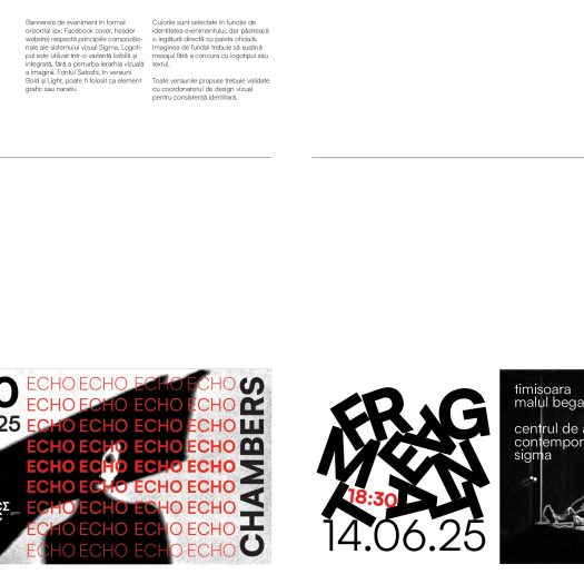 DG2025_Vicol_Denys_P1-0024