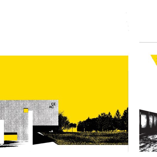 DG2025_Vicol_Denys_P1-0026