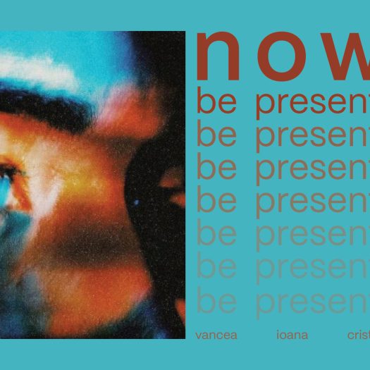 DG2026_Vancea_Ioana_Cristina_P1-0001