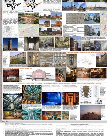 Studii de Caz_-images-7
